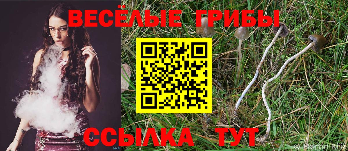 COCAIN  Кодеин  Молли  Мефедрон  Бирск  МАРИХУАНА  Марихуана  ГАШИШ  Вход с VPN 
